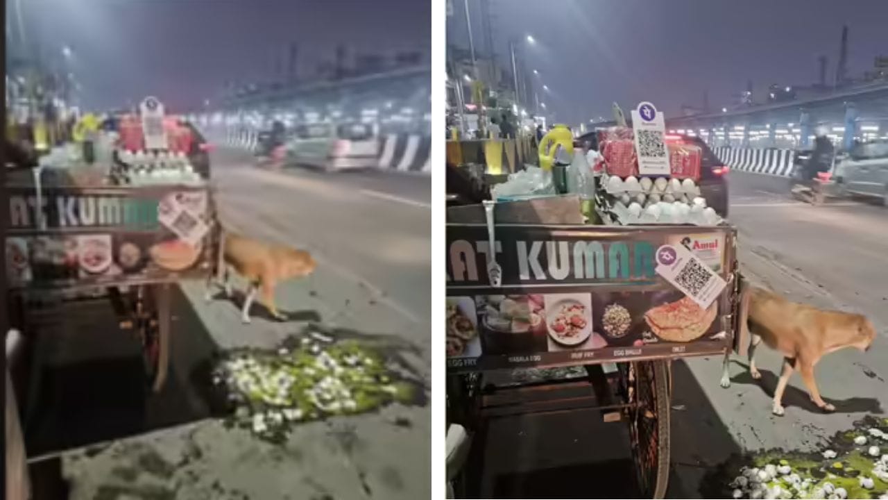 ஒரு ஏழை  வியாபாரியிடம்  குற்றவாளிகள்  முட்டைகளை உடைத்து நாசமாக்கினர்.! வைரலான பதிவிற்குப் பிறகு, பொதுமக்கள் வியாபாரியின் கண்ணீரைத் துடைத்த உண்மை சம்பவம்..!!