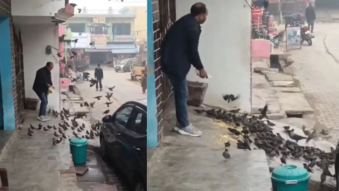 பறவைகளுக்கும் மொழி புரியும்..மனிதனுக்கும் இயற்கைக்குமான உன்னத உறவு..நெகிழ்ச்சியான வைரல் வீடியோ..!!!