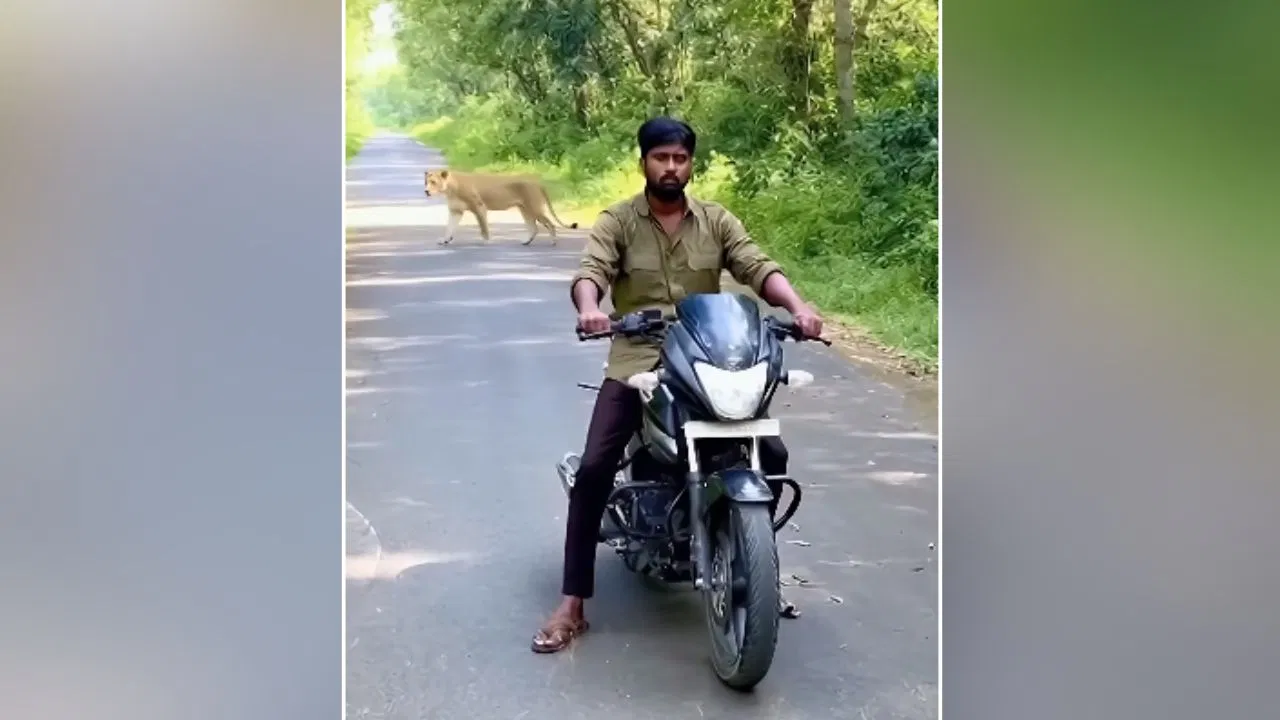அம்மாடியோ… இப்படி வந்து மாட்டிக்கிட்டேனே… காட்டில் தனியாக சென்று நபர்…. சீறிப்பாய்ந்து வந்த சிங்கங்கள்… வைரலாகும் AI வீடியோ…!!!