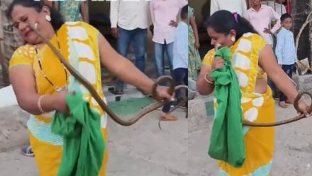 சாகசம் செய்த பெண்: பாம்பைக் காப்பாற்ற முயன்றபோது கன்னத்தைக் கவ்விய பாம்பு! உயிர் பிழைத்தாரா? திகிலூட்டும் வைரல் வீடியோ..!!!