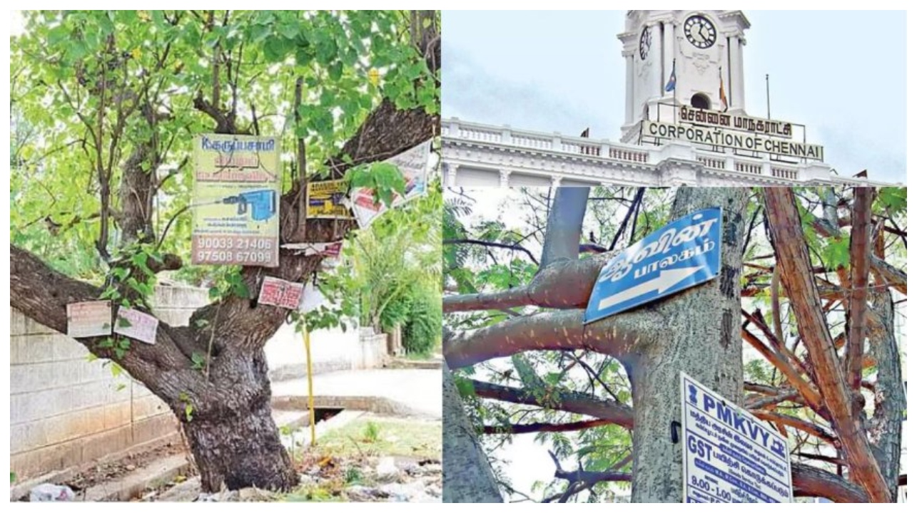 மரம் வெட்டினால் ரூ.1 லட்சம் அபராதம்… ஒரு கிளை வெட்டினாலும் பர்ஸ் காலியாகும்… மாநகராட்சி போட்ட புது ரூல்ஸ்…!!!