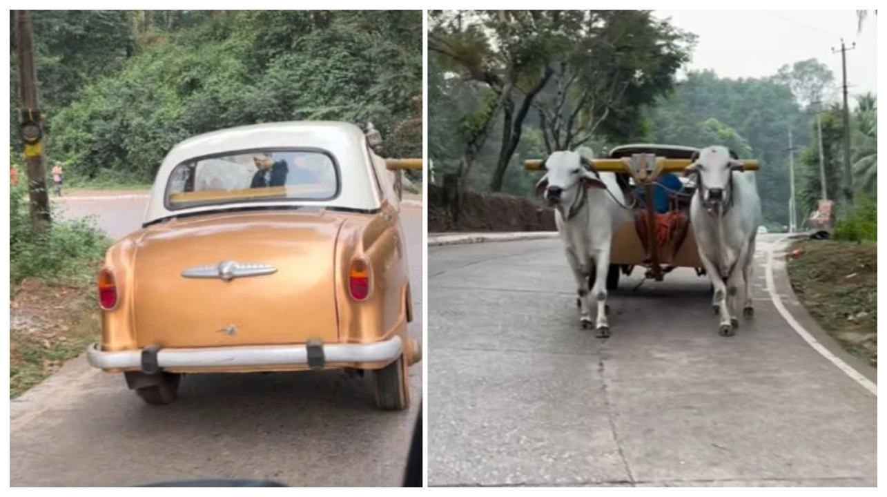 அம்பாசிடர் காரை இப்படி கூட பயன்படுத்தலாமா?… இது காரா? இல்ல மாட்டு வண்டியா?… வைரலாகும் இந்தியனின் அசாத்தியமான கண்டுபிடிப்பு…!!!