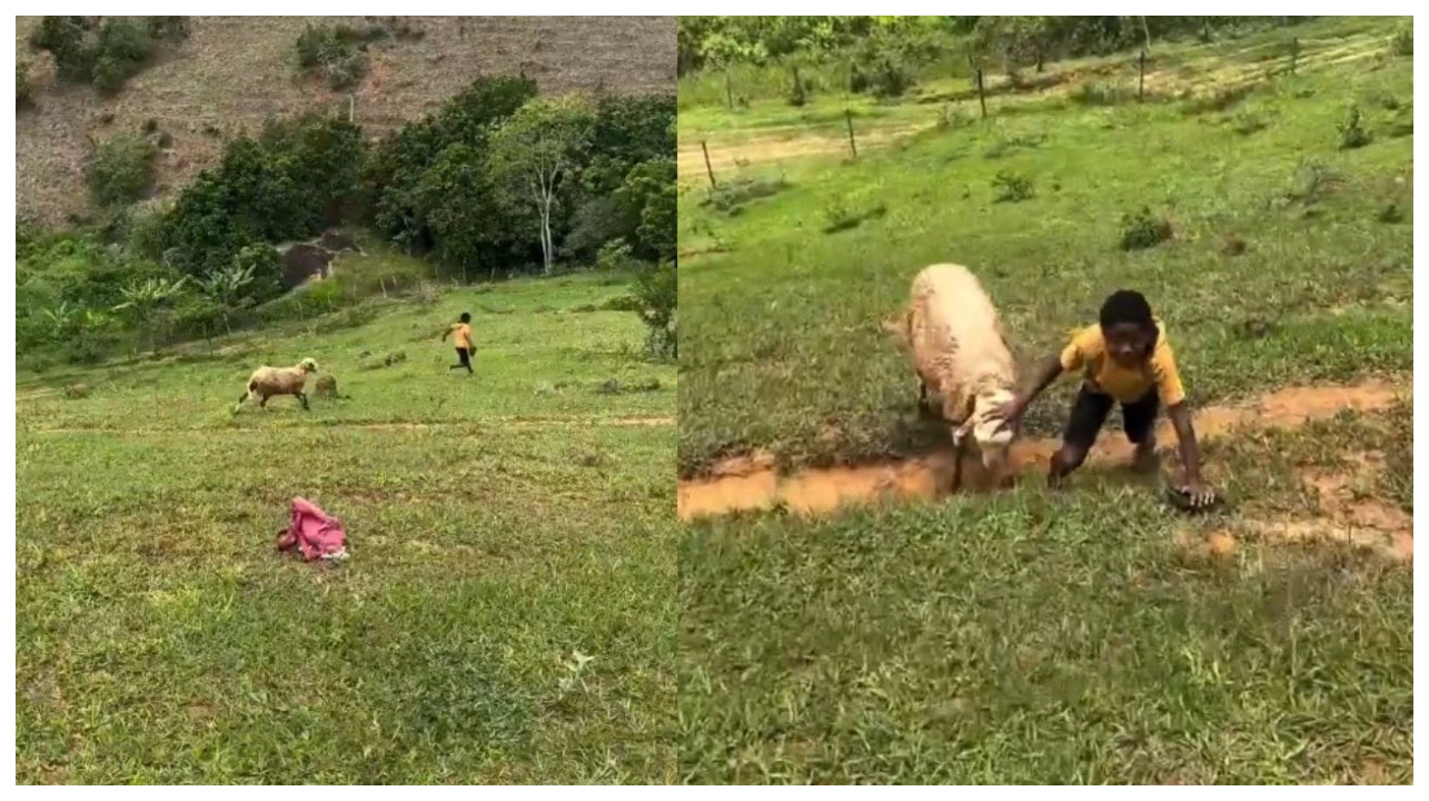 ஐயோ பாவம்… சும்மா நின்ற சிறுவன்… திடீரென எமன் போல் பாய்ந்து வந்த ஆடு… செம்ம ஆக்ரோஷம்… இணையத்தில் அதிர வைக்கும் வீடியோ..!!!