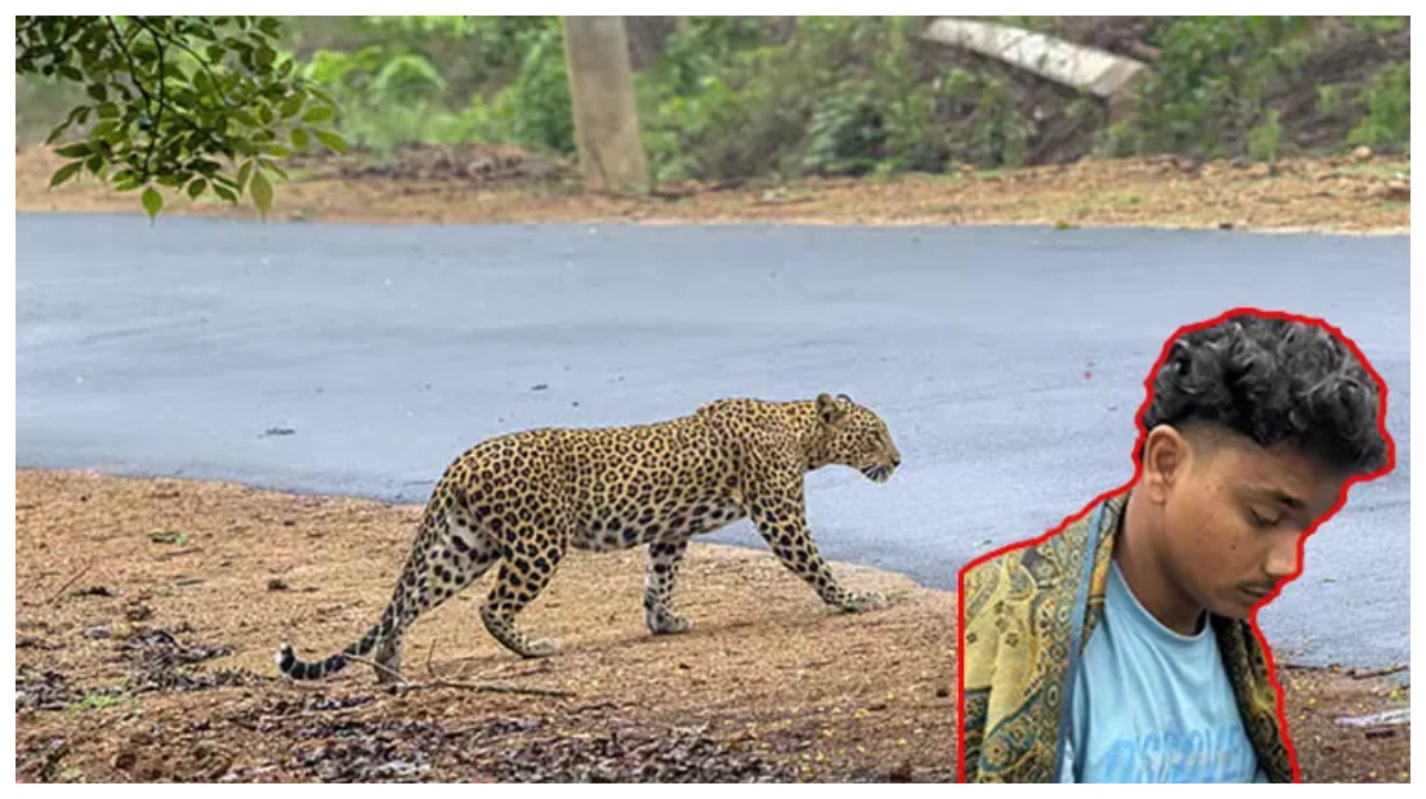 ஒரே ஒரு நொடிதான்… பாசத்திற்காக மிருகமாக மாறிய வாலிபன்… ஒரு சிறுத்தையை இளைஞர் எப்படி வீழ்த்தினார் தெரியுமா?… வைரலாகும் ஒடிசா வீரனின் கதை…!!!