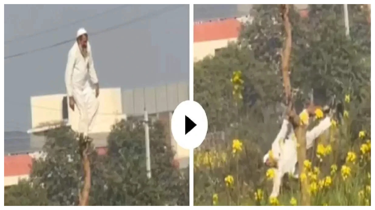 ஐயோ பாவம்… இப்படியும் ஒரு முட்டாள்தனமா?… மரக்கிளையை வெட்டிய முதியவருக்கு நேர்ந்த கதி… அதிர்ச்சியில் உறைந்த மக்கள்… வைரலாகும் வீடியோ…!!!
