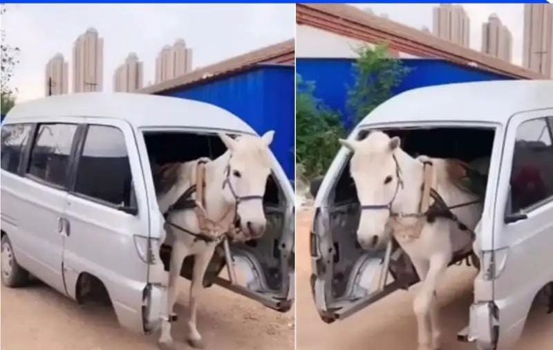 அட இப்படி ஒரு கண்டுபிடிப்பா?… குதிரைக்கு பின்னால் சொகுசு கார் இணைத்து… வைரலாகும் ஆச்சரிய வீடியோ…!!!