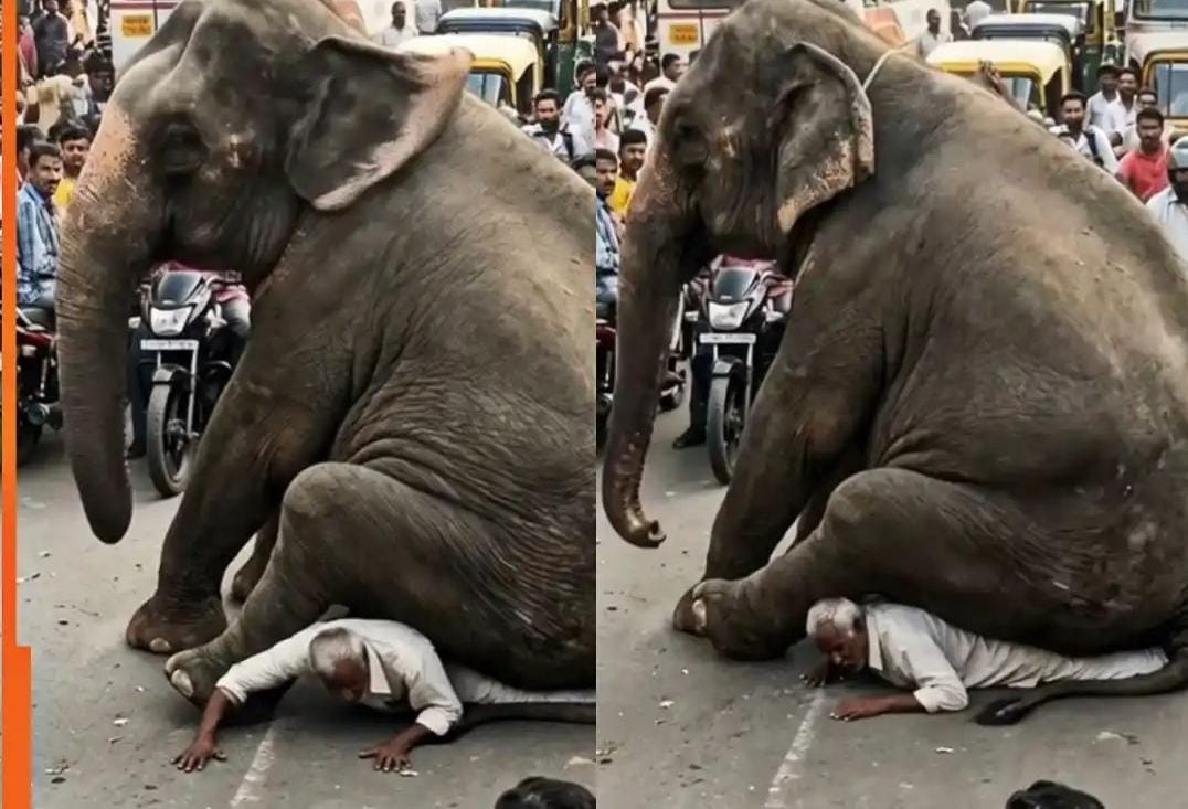 AI என்றாலும் ஒரு நியாயம் வேண்டாமா?… பரபரப்பான சாலையில் முதியவர் மீது அமர்ந்த யானை… வெளியே வர முடியாமல் தவித்த தாத்தா… வைரல் வீடியோ…!!!