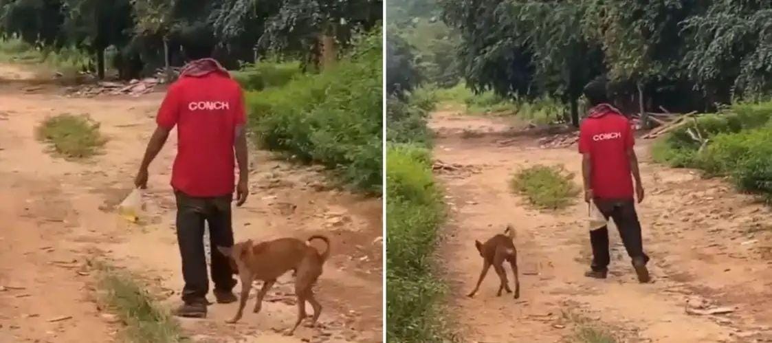 குடிபோதையில் தள்ளாடிய நபர்… அவரை போலவே நடந்த நாய்… இணையத்தை கலக்கும் வீடியோ..!!