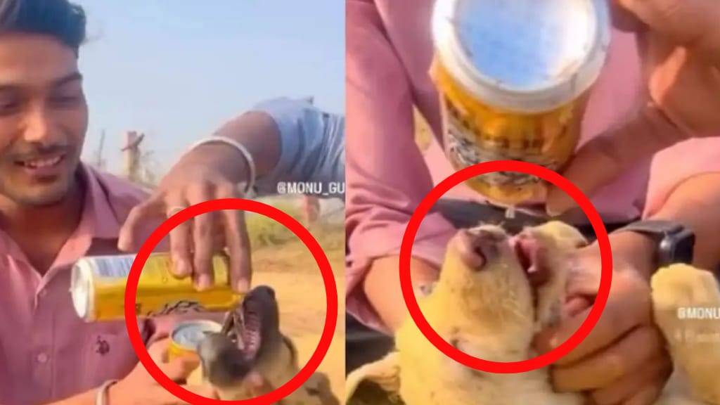 அதை குடிக்க வைக்காதீங்க, பாவம்!” கதறிய நாய்க்குட்டி.. சித்ரவதை செய்த வாலிபர்கள்.. இணையத்தை கொந்தளிக்க வைத்த வீடியோ.. போலீஸ் எடுத்த அதிரடி முடிவு…!!