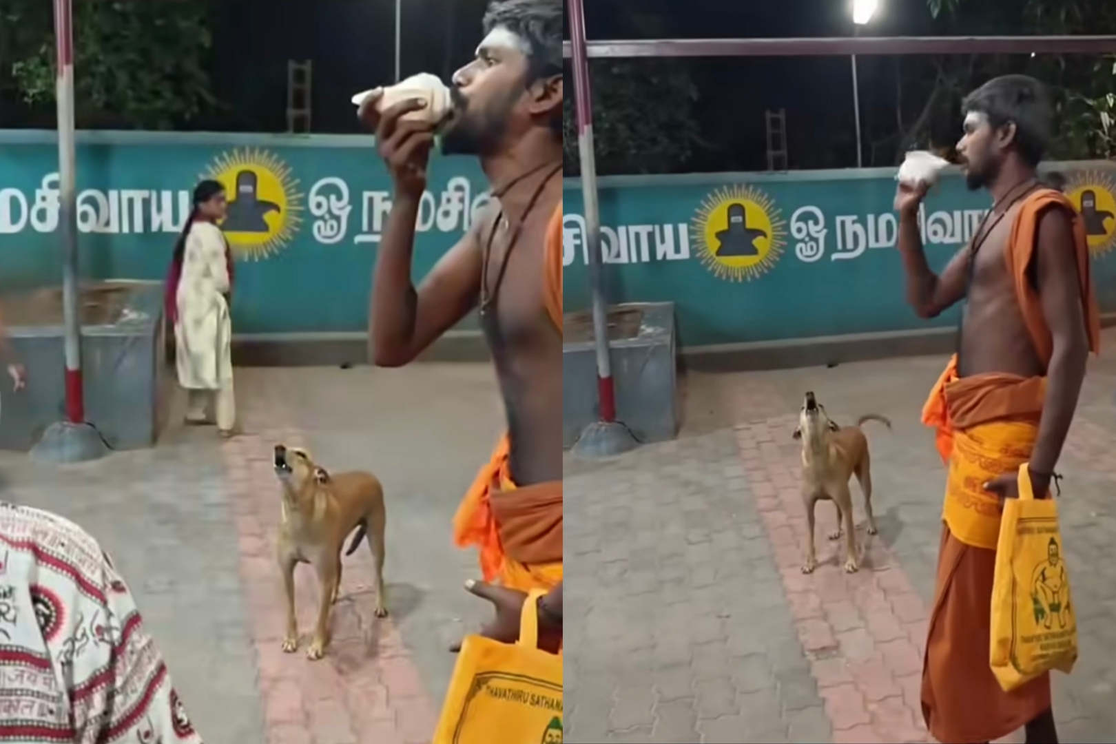 “இங்க பாருங்களேன் நாய் சங்கு ஊதுது” பக்தியில் கலக்கும் பைரவர்…. வைரலாகும் வீடியோ….!!