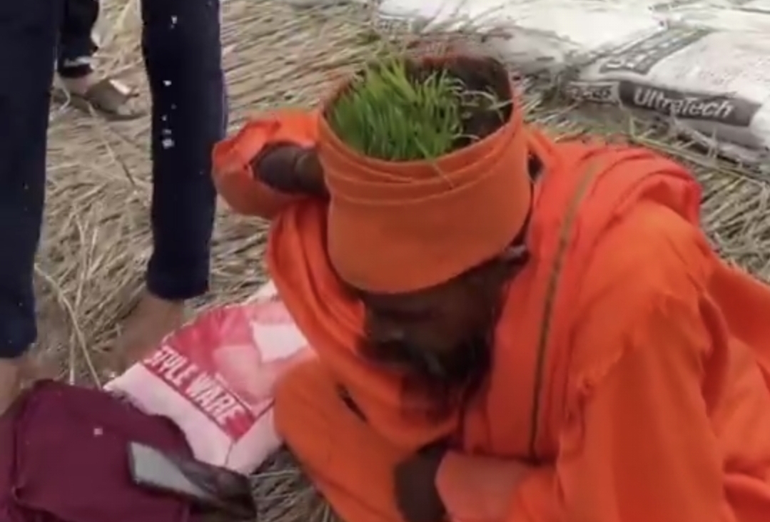 “இது மண்டையா? இல்ல விவசாய நிலமா?” தலைக்குள் ஊடுருவும் வேர்கள்….? மண்ணே இல்லாமல் தலையில் முளைக்கும் பயிர்….!!