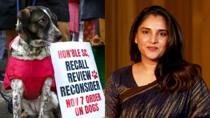 “ஆண்களின் மூடும் தான் தெரியாது, அப்போ சிறையில் போடலாமா?”.. தெரு நாய்கள் விவகாரம்.. உச்சநீதிமன்றத்திற்கு நச் பதிலடி கொடுத்த நடிகை ரம்யா..