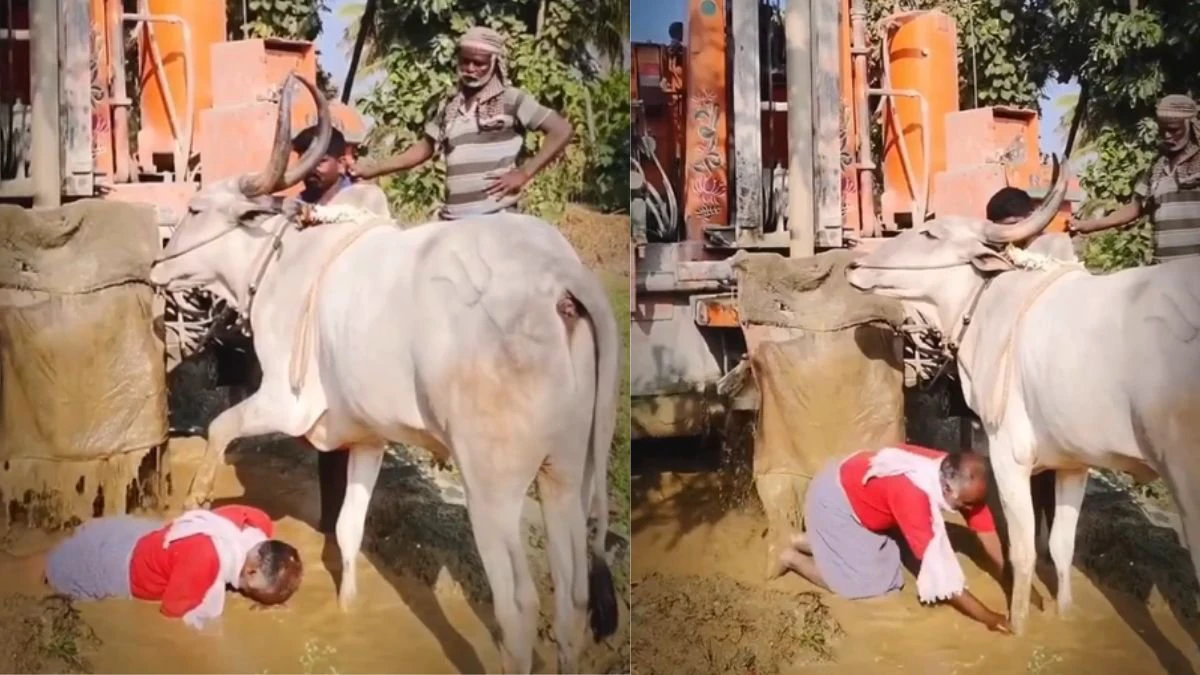 “ஒரு நிமிஷத்துல புல்லரிச்சு போச்சு!”… மாட்டின் காலில் விழுந்த விவசாயி.. காளையின் அற்புதமான செயல்.. வைரலாகும் மெய்சிலிர்க்கும் வீடியோ..!!