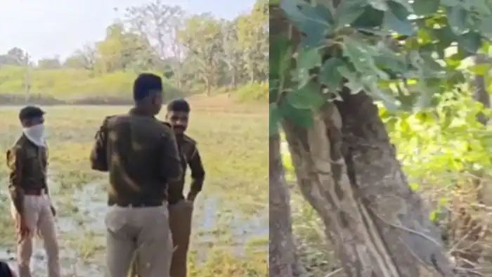 காட்டுக்குள் பார்த்த ‘அந்த’ காட்சி…. மிரண்டு போன கிராம மக்கள்…. 15 நாட்களாக மரத்தில் தொங்கிய காதலர்கள்….!!