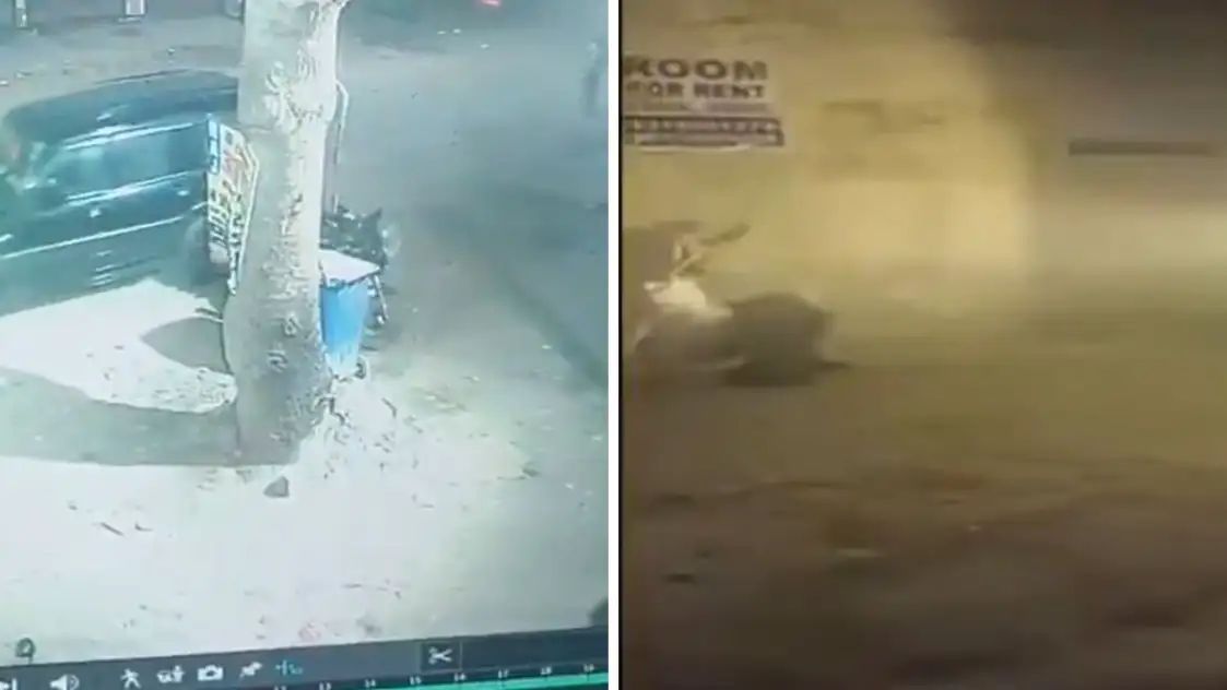 “மருத்துவரா? மிருகமா? உயிரைக் காக்க வேண்டிய கரங்களே ஊனமாக்கிய அவலம்” – ஸ்விக்கி ஊழியரை காரால் நசுக்கிய மருத்துவர் கைது..!!