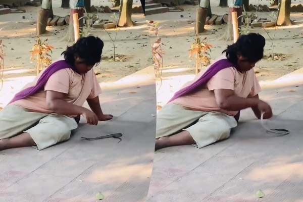 விபரீத விளையாட்டு: பாம்பை வைத்து வித்தை காட்டிய பெண்…. மீண்டும் மீண்டும் கடிக்கும் கொடூரம்….!!