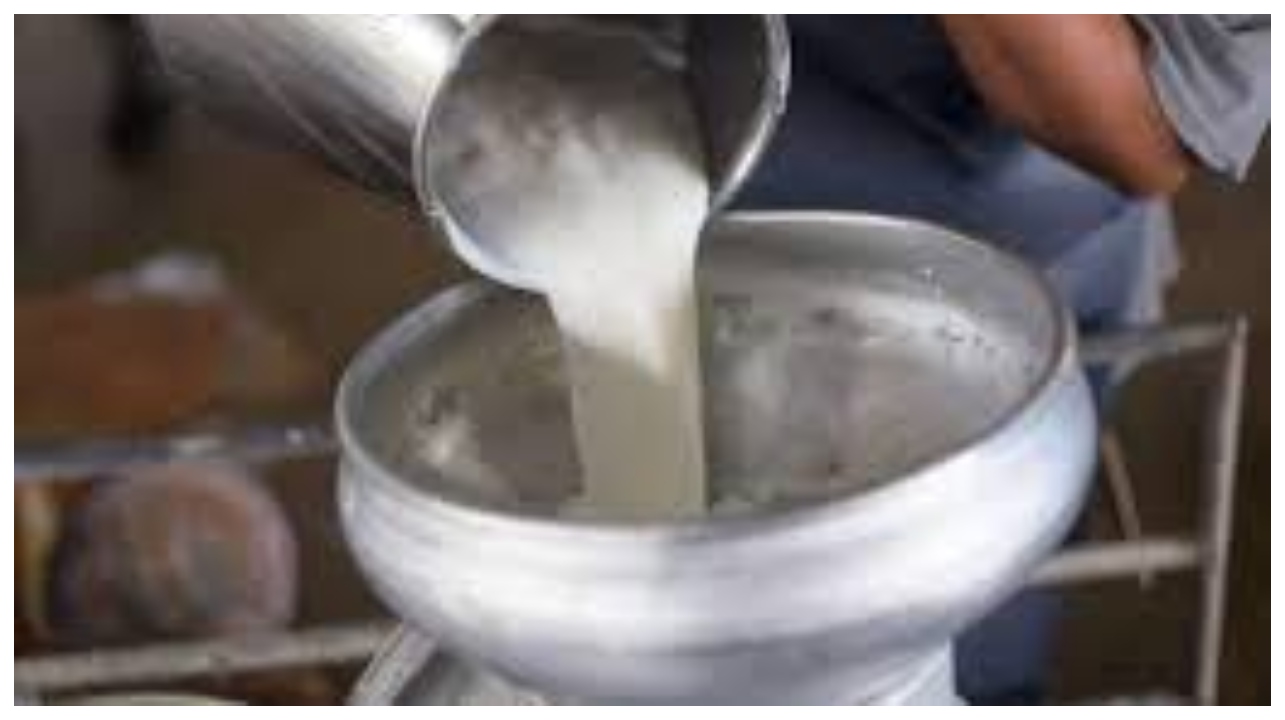 உஷார்: நீங்கள் வாங்கும் பால் மோரில் சோப்புத்தூளா?… வசமாக சிக்கிய கும்பல்… குஜராத்தில் வெளிவந்த அதிர்ச்சித் தகவல்…!!!