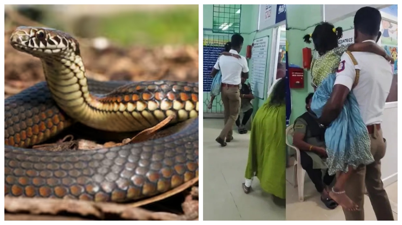 டிராபிக் போலீஸின் அதிரடி ஆக்ஷன்… பாராட்டும் நெட்டிசன்கள் – வைரலாகும் கடமையை தாண்டிய கருணை…!!!