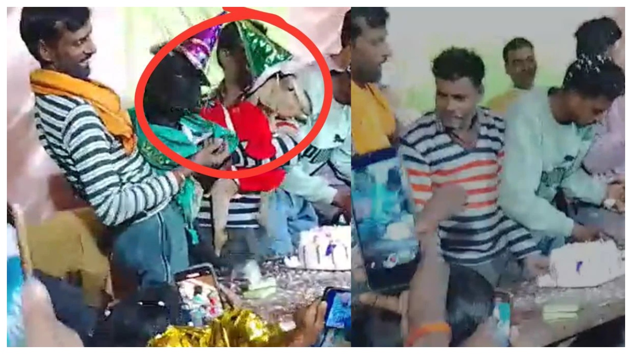 மனிதர்களுக்குக் கூட இப்படியொரு பர்த்டே நடந்திருக்காது… ஆடுகளுக்கு கார்டு அடித்து பிறந்தநாள்… வைரலாகும் வீடியோ…!!!