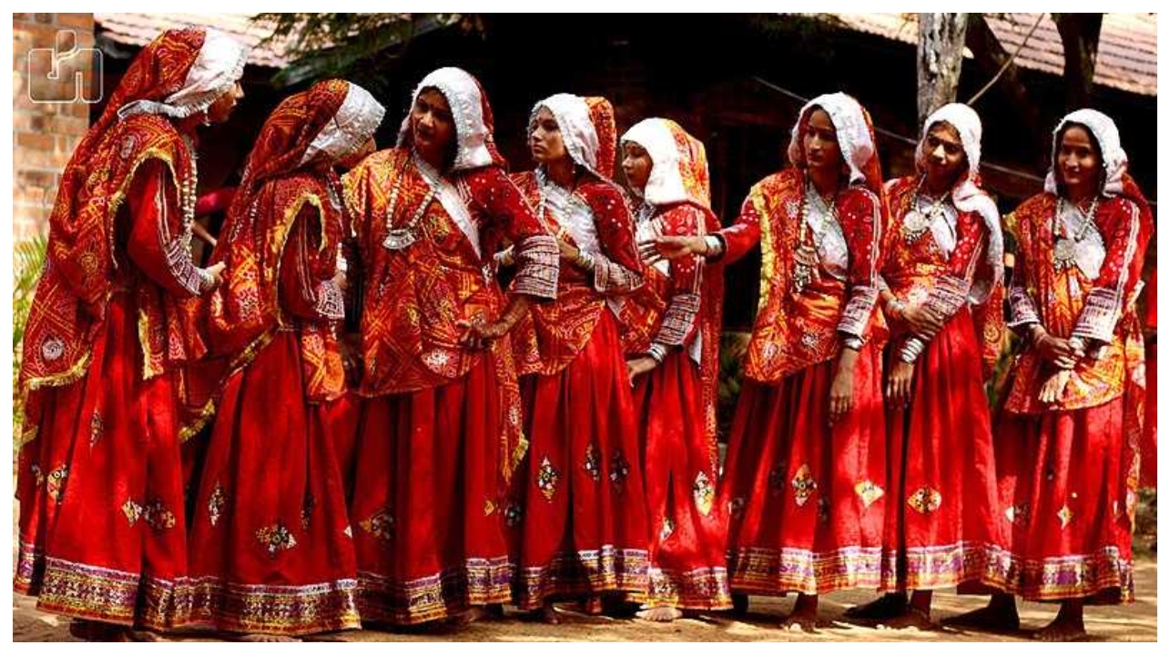 பகீர்: 2 நிமிடத்தில் ஒரு ஆபரேஷனா?… பலியான பழங்குடியின பெண்களின் ஆரோக்கியம்… அரசு மருத்துவ முகாமில் அரங்கேறிய அவலம்…!!!