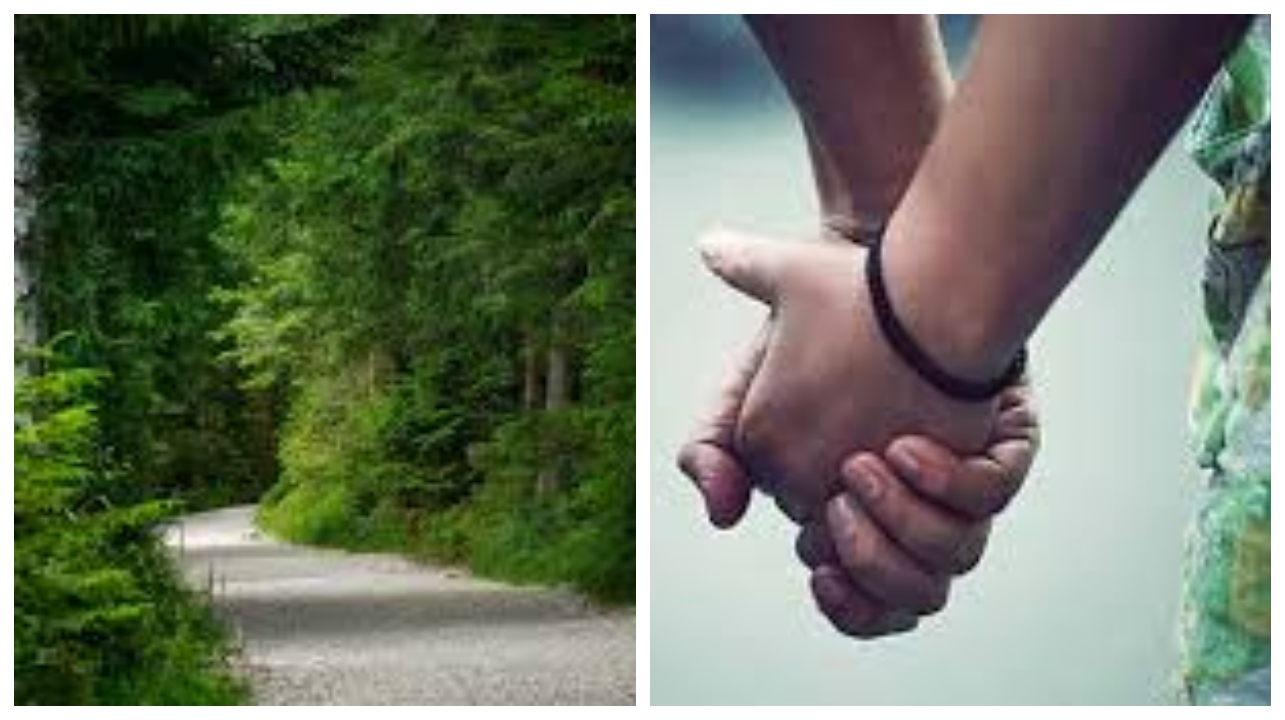 “காட்டுக்கு கூட்டிட்டு போய் இப்படியா?” – திருமண ஆசை காட்டி இளம்பெண்ணை ஏமாற்றிய வனத்துறை அதிகாரி…!!!