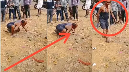 “லைக்குகாக இப்படியா? உயிருடன் பாம்பை கவ்விய நபர்.. மரண பயத்தை காட்டிய அந்த ஒரு நொடி.. வைரலாகும் ஷாக் வீடியோ..!!!