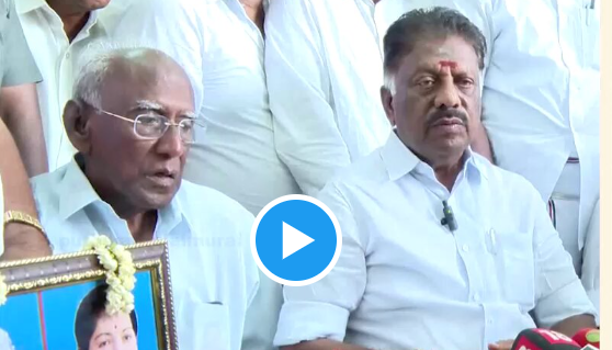 “இப்படியா சாப்பிடுவாங்க?” ரோஜா பூவை ரசித்து ருசித்த நபர்..  சீரியஸான பேட்டியின் இடையே அரங்கேறிய சுவாரஸ்யம்..!!