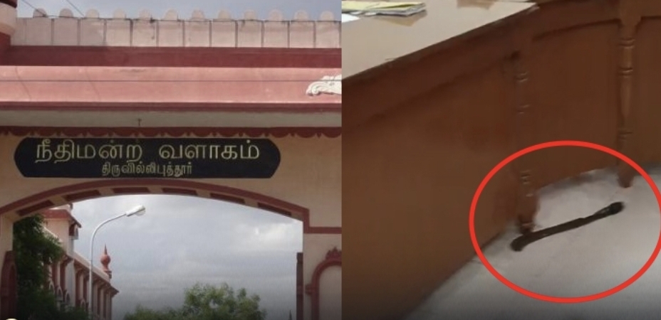 ஜட்ஜ் மேலே அரிவாள் வீச்சு…. மனைவிக்கு ஜீவனாம்சம் கொடுக்க சொன்னதால் ஆத்திரம்…. நீதிமன்றத்தில் பரபரப்பு….!!