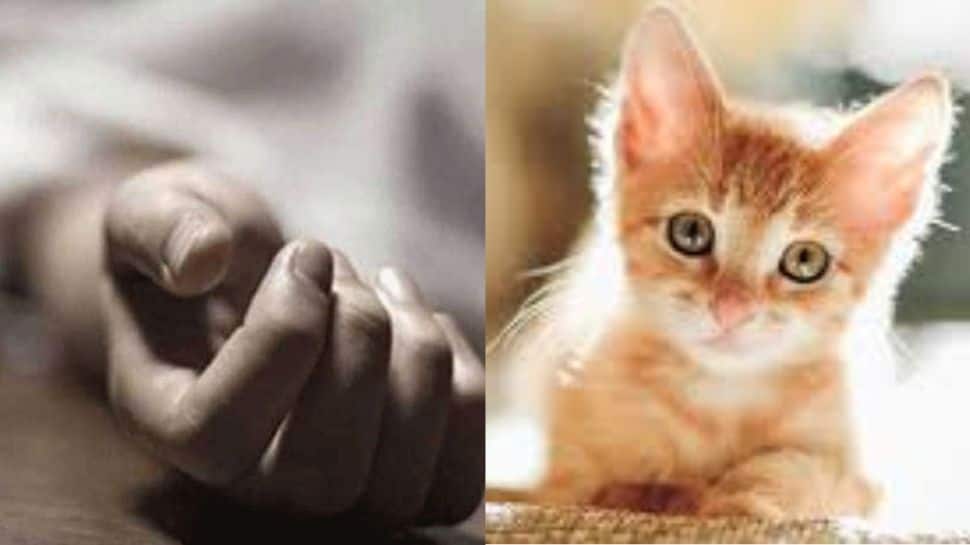 வீட்டில் பூனை வளர்ப்பதில் இவ்வளவு பிரச்சனையா? 23 வயது இளம் பெண் மருத்துவர் எடுத்த விபரீத முடிவு.. கதறும் குடும்பம்..!!