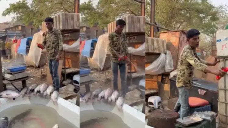 “காசுக்காக இப்படியா பண்றது?”… மீன்கள் மீது நச்சு ஸ்ப்ரே.. வீடியோவைப் பார்த்து அலறும் மக்கள்..!!