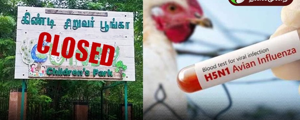 “சென்னையில் பறவை காய்ச்சல் அலார்ட்!”… பூங்காவில் மர்ம காய்ச்சல்.. பறவைகள் அடுத்தடுத்து உயிரிழப்பு.. சுகாதாரத்துறை எடுத்த அதிரடி நடவடிக்கை..அதிர்ச்சியில் பொதுமக்கள்..!!!!