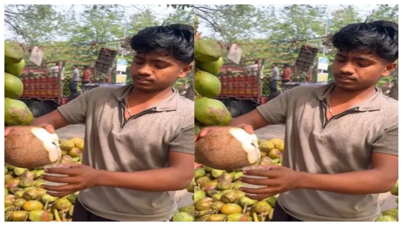 பச்சை இளநீரா? காய்ந்த இளநீரா?… அதிக இளநீர் கொண்ட காயை கண்டுபிடிக்க இதோ ஒரு ‘மேஜிக்’ ட்ரிக்… வைரலாகும் வீடியோ…!!!