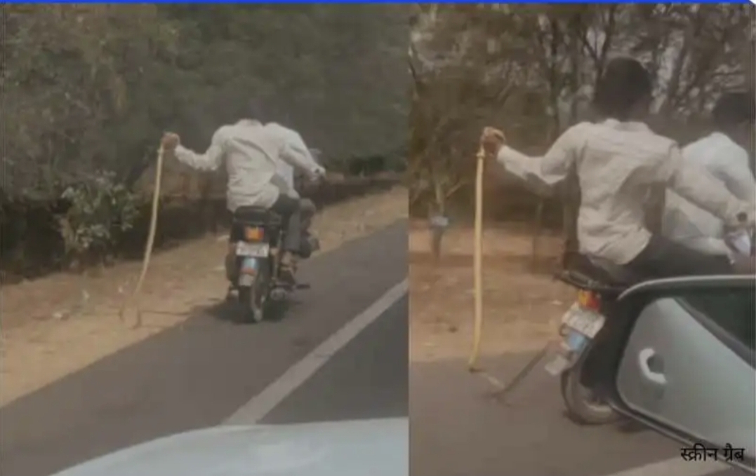 இவங்களுக்கு பயமே இல்லையா….? பாம்பை கையில் பிடித்துக் கொண்டு பைக் பயணம்…. வைரலாகும் பகீர் வீடியோ….!!