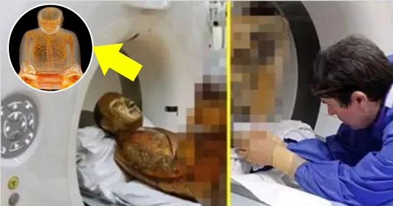 1500 வருஷ பழமையான சிலைக்கு சிடி ஸ்கேன்…! “தியான நிலையில் துறவியின் உடல்”… அறிவியலுக்கே சவால் விட்ட உண்மை… ஆடிப்போன விஞ்ஞானிகள்…!!!