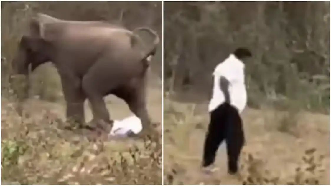 “இதுக்கு பேரு தான் மிராக்கிள்” யானை மிதிச்சும் உயிர் பிழைச்ச அதிசயம்…. வைரலாகும் வீடியோ….!!