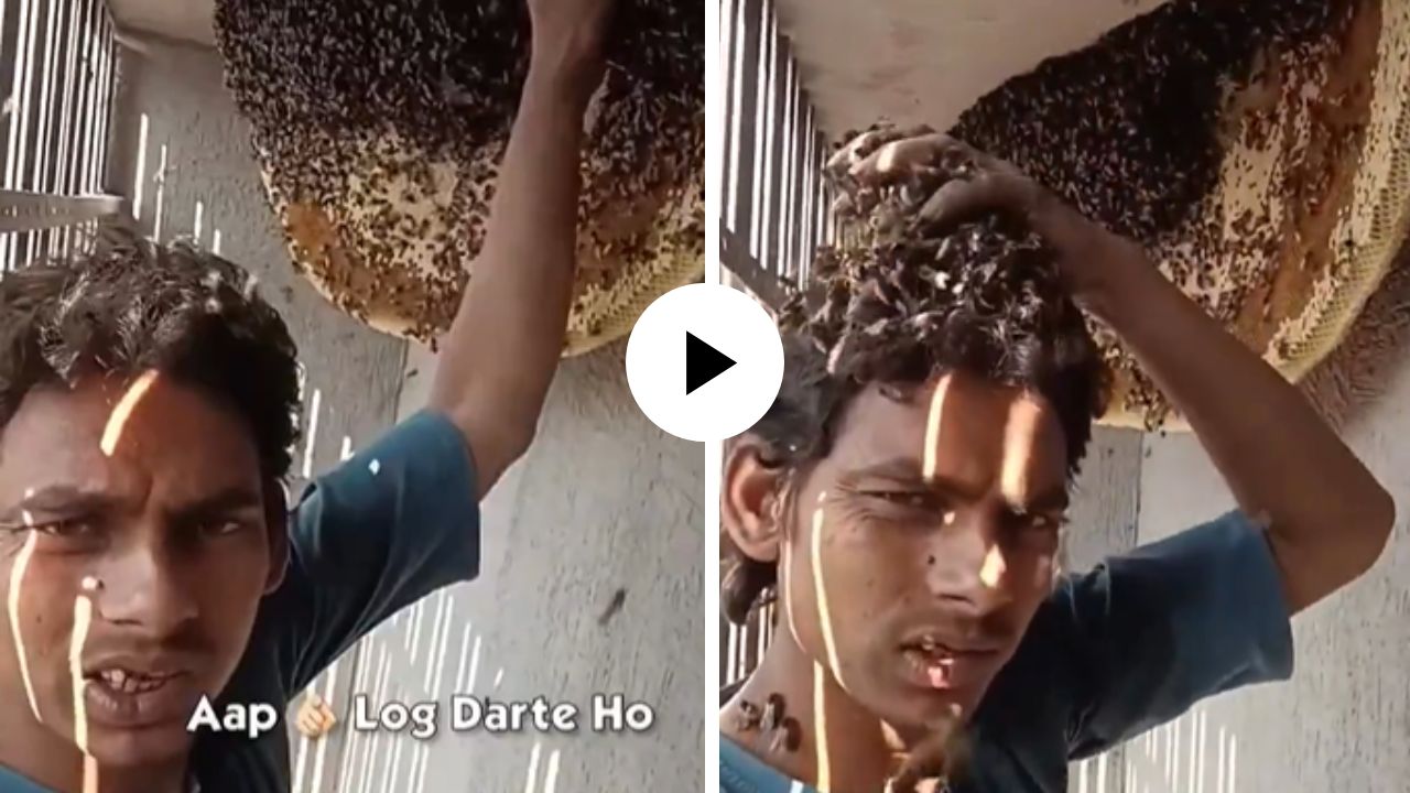 தேனீக்களுடன் விபரீத விளையாட்டு…. ஒரு லட்சத்திற்கும் அதிகமான வியூஸ்…. அந்த இளைஞருக்கு என்ன ஆனது….?