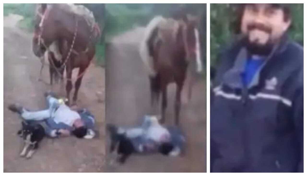 நடு ரோட்டில் போதையில் கிடந்த எஜமான்…! “யாராவது கிட்ட வந்தீங்க அவ்வளவுதான்”… பாதுகாவலர்களாக மாறிய நாய் குதிரை… நெகிழ வைக்கும் வீடியோ..!!
