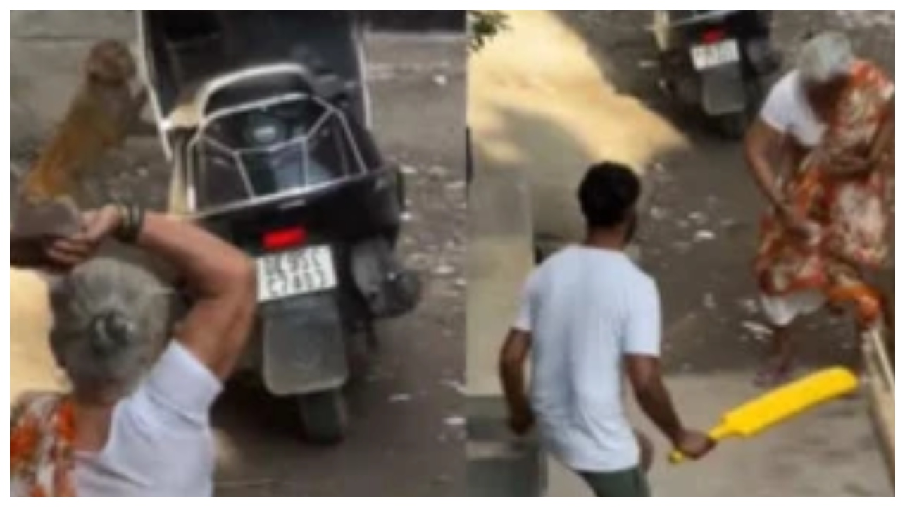 பயங்கரம்..! பாட்டியைத் தாக்கிய ஆக்ரோஷ குரங்கு… ஒரு நொடியில் மாறிய காட்சி… இறுதியில் என்ன ஆனது தெரியுமா…?