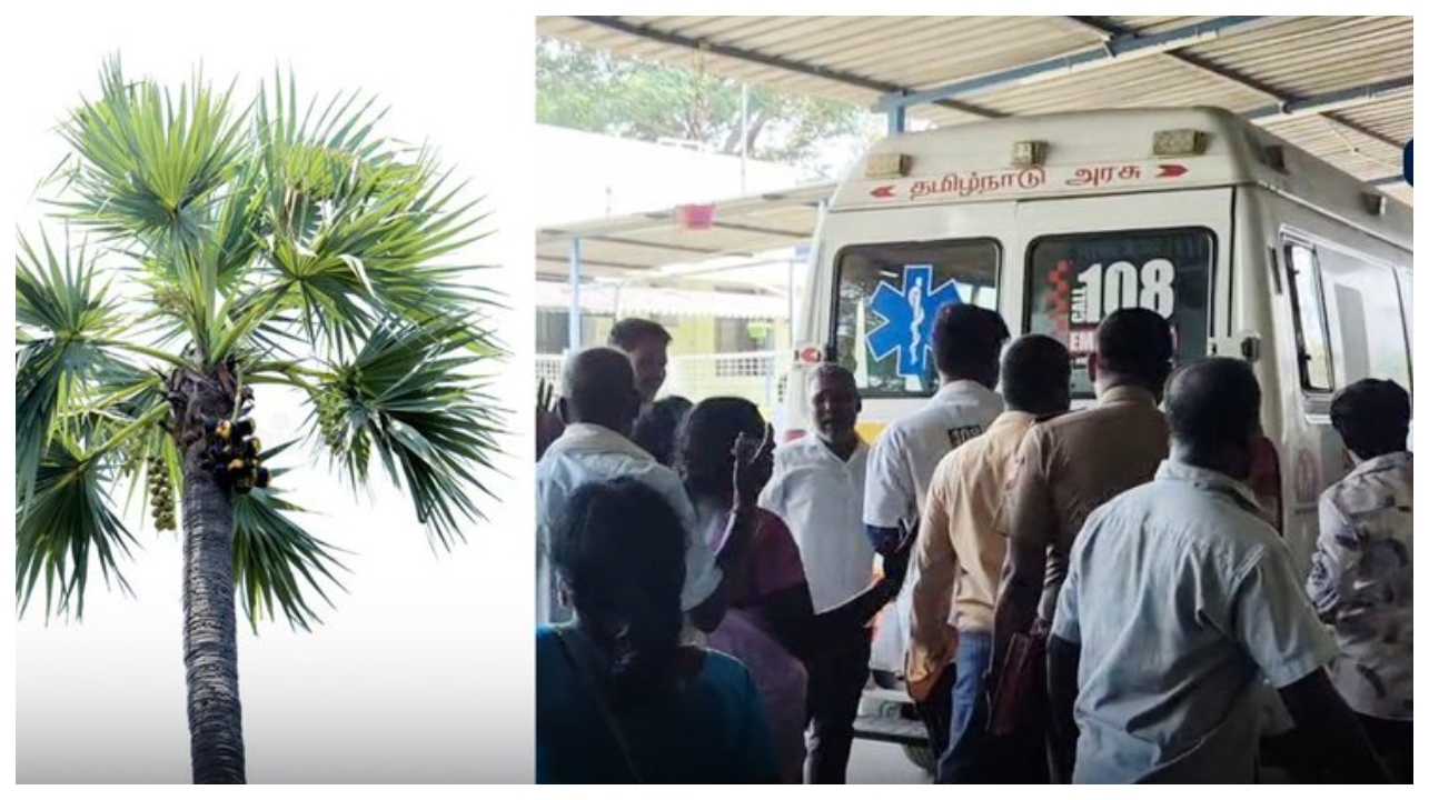 பகீர் சம்பவம்… ஒரு குலை நுங்குக்கு இத்தனை பெரிய விலையா?… கல்லூரி மாணவர்கள் உயிரிழந்த நெஞ்சை பதறவைக்கும் காட்சி…!!!