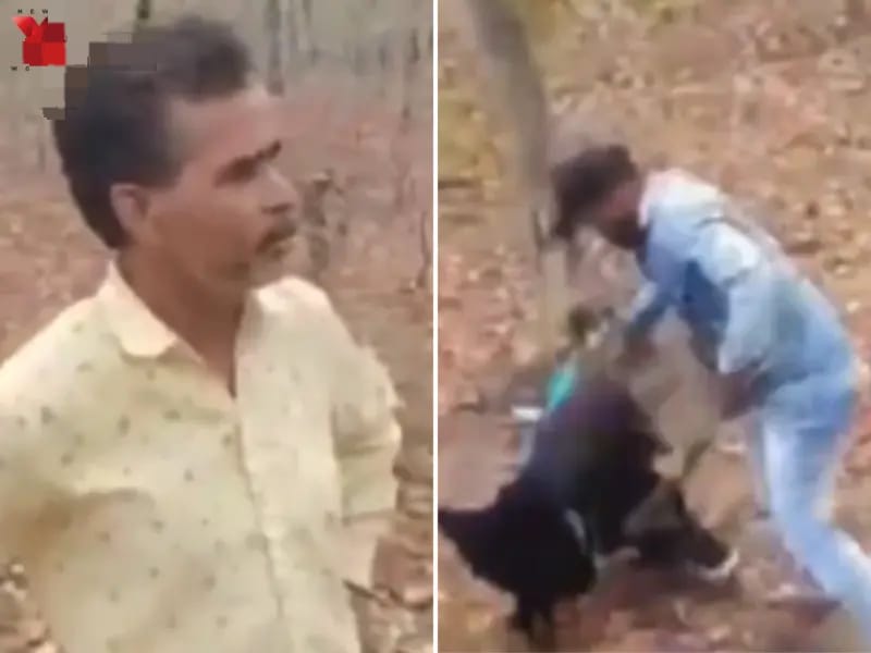 குடும்பம் மானமே போச்சு…! காட்டுக்குள் தங்கையுடன் உல்லாசமாக இருந்த தாய் மாமன்… கையும் களவுமாக பிடித்த அண்ணன்… வைரலாகும் அதிர்ச்சி வீடியோ..!!