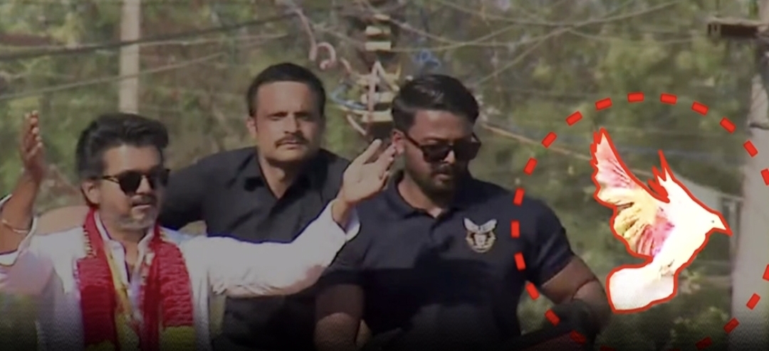 “புறா என்ன உங்க கட்சித் தொண்டரா?” புதிய சிக்கலில் தவெக…. விஜய்க்கு பீட்டா அமைப்பு அதிரடி கடிதம்….!!