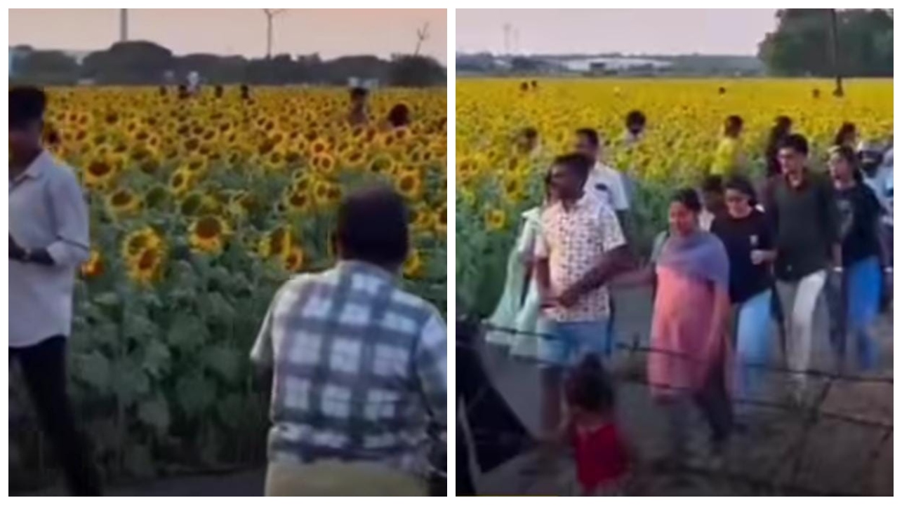 முதலில் எல்லாரும் வெளிய வாங்க… இப்படியா பயிரை நாசம் பண்ணுவீங்க?… பொதுமக்கள் செய்யும் காரியத்தை கண்டு கொந்தளித்த விவசாயி… வைரல் வீடியோ…!!!