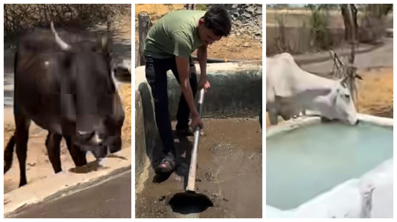 “பச்சைத் தண்ணி கூட இல்ல”… ஏமாந்து போன பசு மாடு… இளைஞர் செய்த அந்த ஒரு காரியம்…. வைரலாகும் வீடியோ…!!!