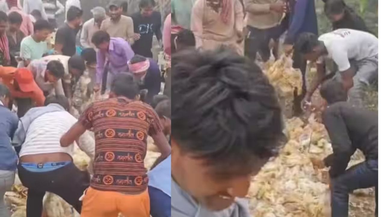 இலவசம்னா இப்படியா? சாலையில கிடந்த செத்த கோழிகளை அள்ளிய மக்கள்.. இவங்க பண்றது கொஞ்சமாவது நியாயமா? கடைசில நடந்த அந்த அதிர்ச்சி சம்பவம்..!!