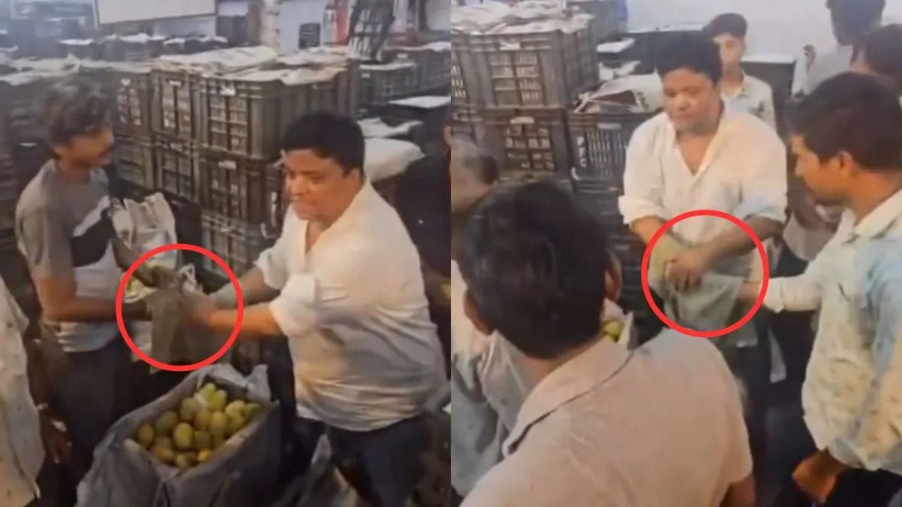“இன்னுமா இப்படி விலை பேசுறாங்க?” கையில் துண்டை போட்டு ரகசிய டீலிங்…. மாம்பழ வியாபாரத்தின் வைரல் வீடியோ….!!