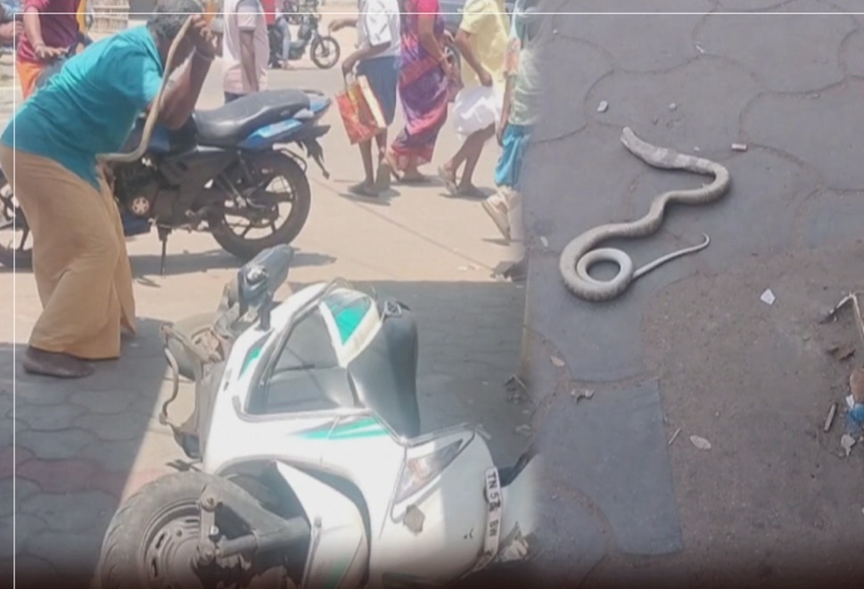 “கொஞ்சம் கூட பயமே இல்ல!”… ஸ்கூட்டிக்குள் புகுந்த நல்ல பாம்பு… நொடிப் பொழுதில் நபர் செய்த திகைக்க வைக்கும் காரியம்…!!!