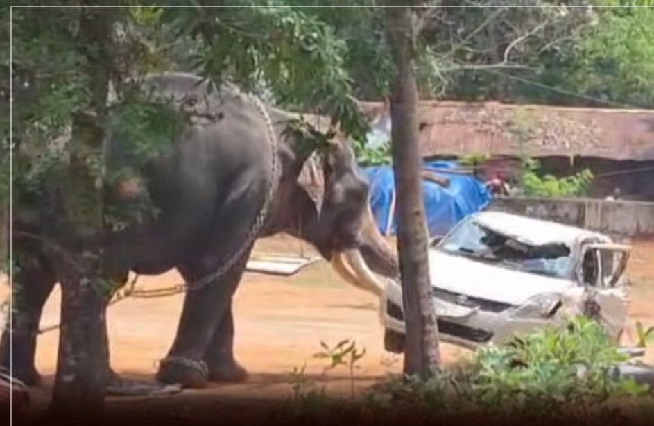 “நடுங்க வைத்த 4 மணி நேர போராட்டம்!”… மதம் பிடித்து மிரண்டு ஓடிய யானை… கோவில் திருவிழாவில் நடந்த பெரும் பயங்கரம்..!!!