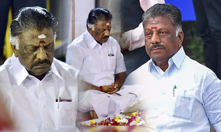 Breaking: திடீர் டுவிஸ்ட்..! மாலையில் களம் மாறியது… தவெகவுடன் கடும் போட்டிக்கு இடையில் போடியில் மீண்டும் வெற்றிவாகை சூடினார் ஓபிஎஸ்…!!!