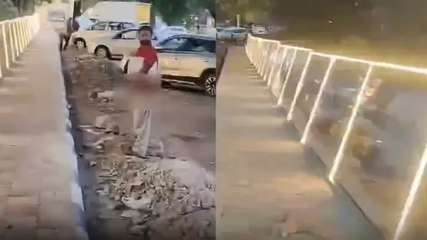 வெக்கமே இல்லையா…? “உங்க முகத்தை நீங்களே பார்த்தாவது கூச்சப்படுவீங்கன்னு தான் இப்படி பண்ணுச்சு”.. ஆனாலும் திருந்தலையே… முகம் சுளிக்க வைக்கும் வீடியோ..!