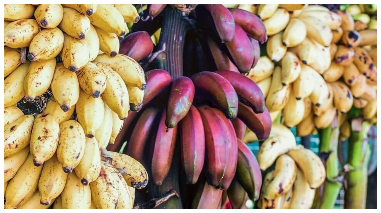 போலீஸ் ஸ்டேஷனில் அலறிய வாலிபர்.. வயிற்றில் சிக்கிய சாவி… 10 கிலோ வாழைப்பழம் போதும்… இறுதியில் மருத்துவர்கள் கொடுத்த ‘தித்திப்பான’ ட்ரீட்…!!!